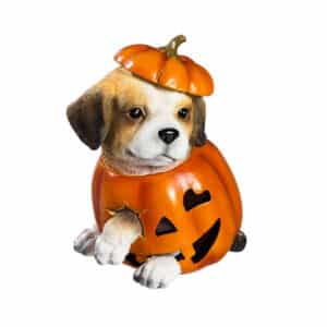 Ceramic Dog in LED Pumpkin Halloween Decoration